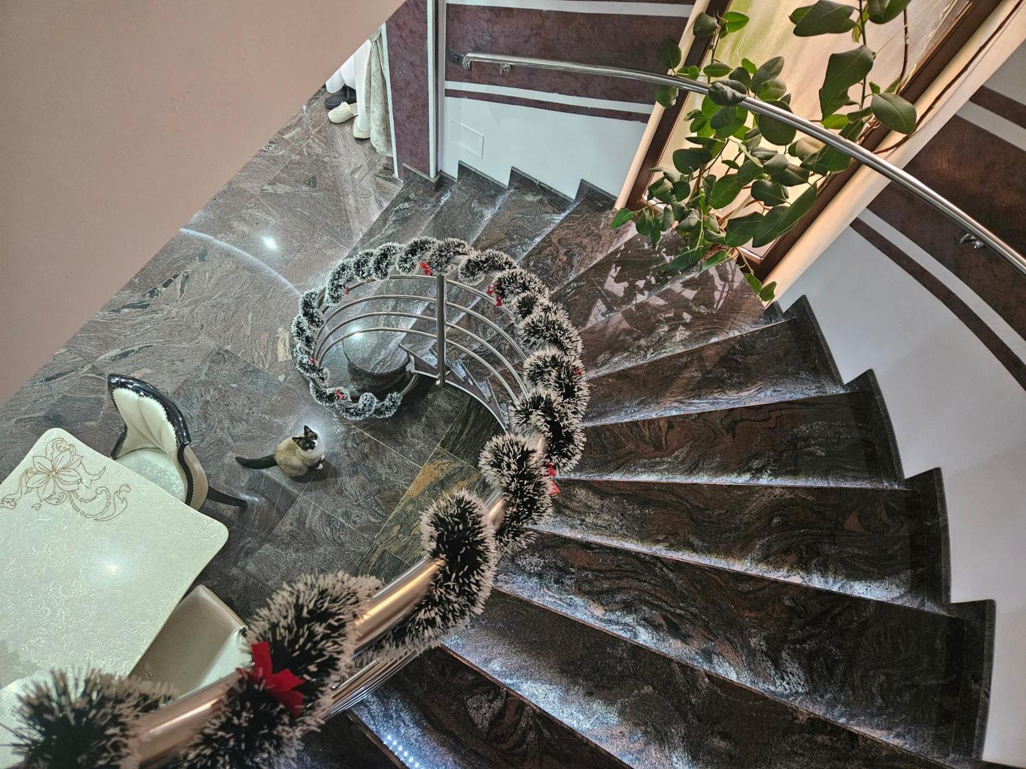Casa Perla Nordului Hotell Moisei Exteriör bild